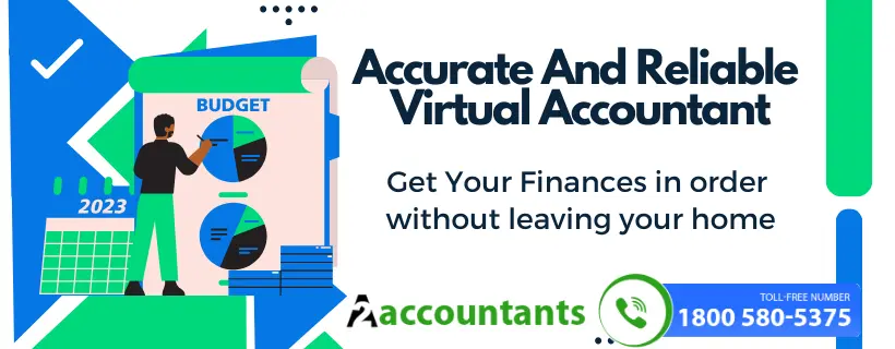 Virtual Accountant services for small business
